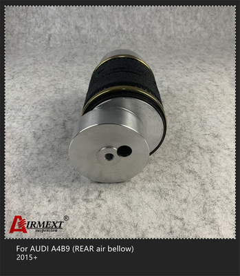 Air Strut Kit Audi Air Suspension For AUDI A4B9 2015 AS-AU04-05-A1