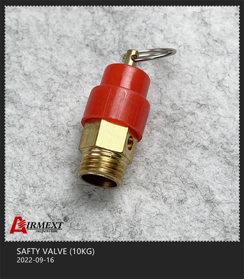 10KG Air Compressor Air Tank Safety Valve For Air Suspension System