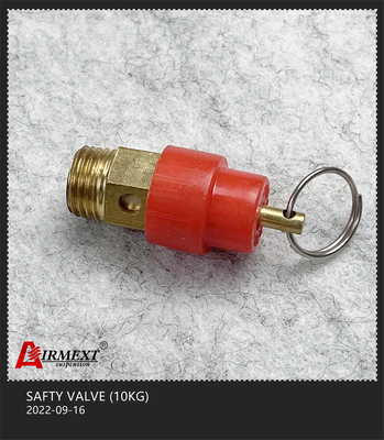 10KG Air Compressor Air Tank Safety Valve For Air Suspension System